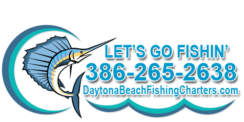 daytona beach fishing charters