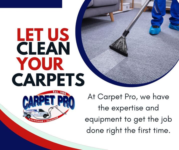 The Importance of Professional Carpet Cleaning.
