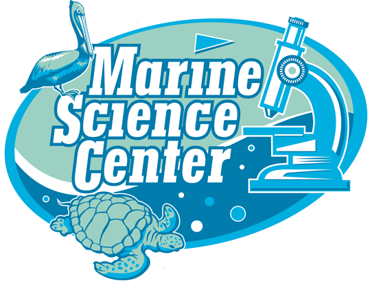 Marine Science Center in Ponce Inlet to undergo renovations in October.