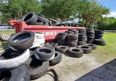 Volusia County to host a tire amnesty event to combat mosquitoes.