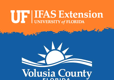 First-time Homebuyer classes offered by UF/IFAS Extension in Volusia County.