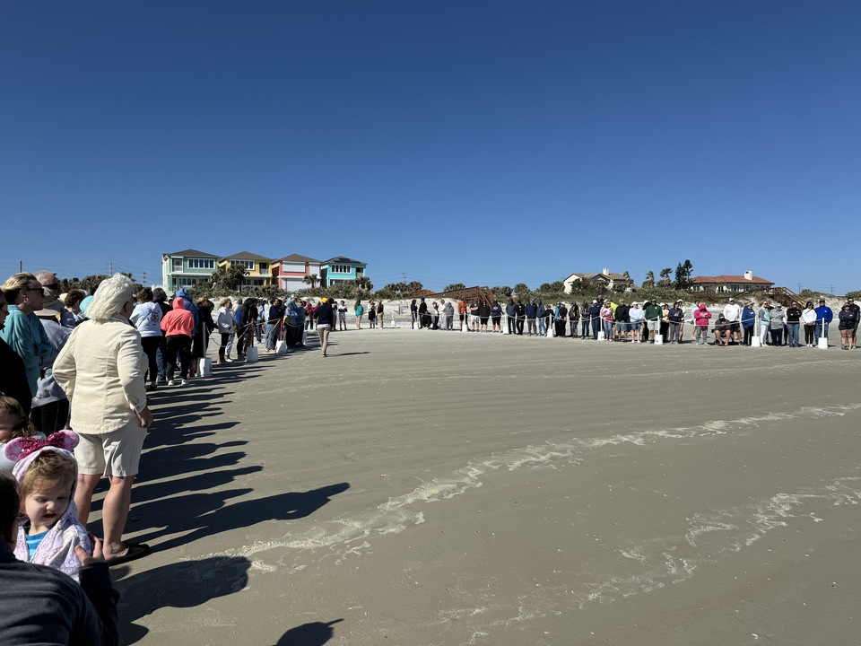 Pictures of Today's Turtle Release in Ponce Inlet