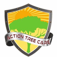 Action Tree Care