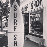 citrus surf logo