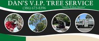 dans vip logo