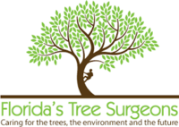 fllorida tree surgion logo