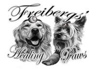 freiburgs logo