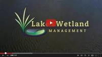 lake wetland management