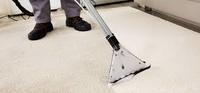 ormond carpet cleaning