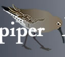 sanpiper med logo