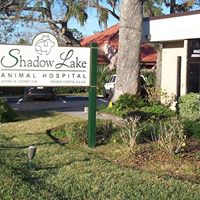 shadow lake logo