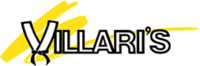 villaris logo